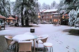 Travel Agents in Kashmir, Gulmarg Tour Packages