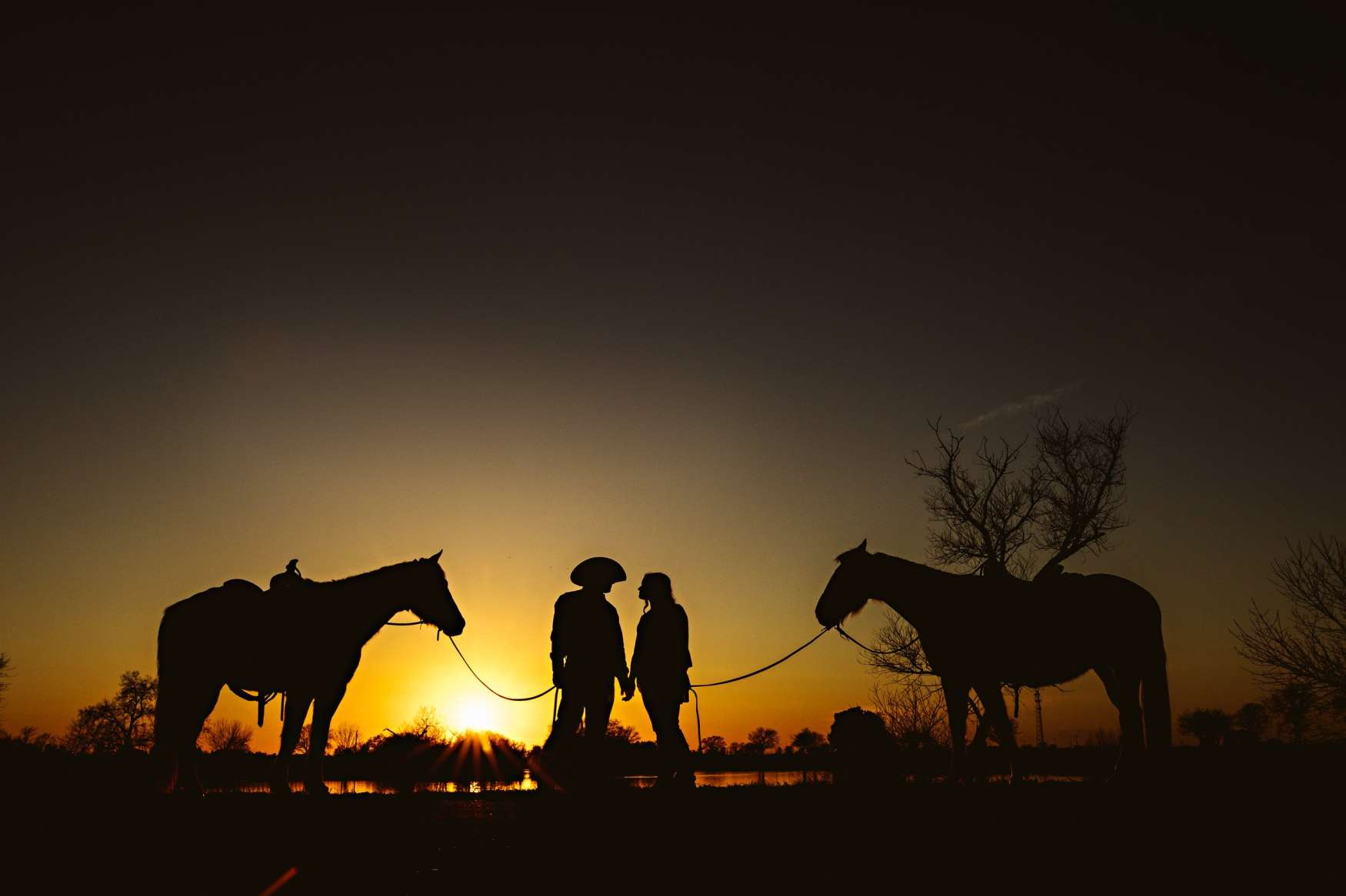 Pony Rides Kashmir